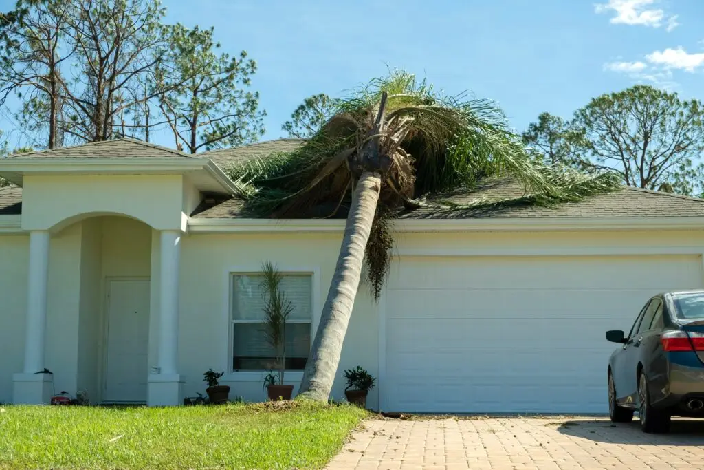 Fallen down big tree on a house roof after storm in Florida